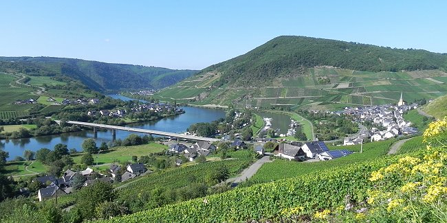 Senheim an der Mosel